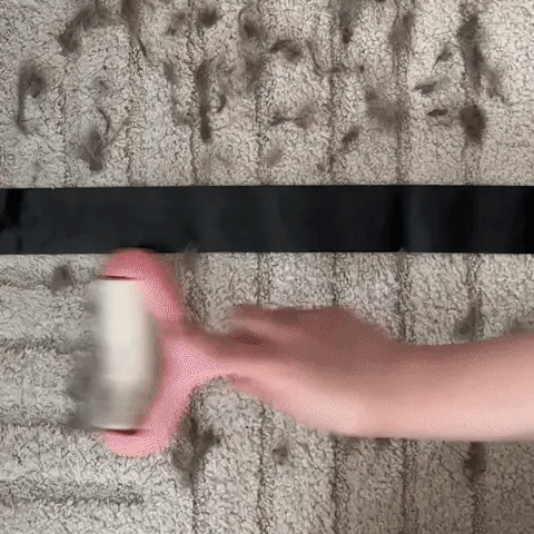 Gant anti-poils Kiko et Paco – nettoyage efficace canapé, vêtements et textiles